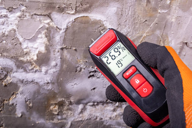 Best Emergency Mold Removal  in Anthony, TX
