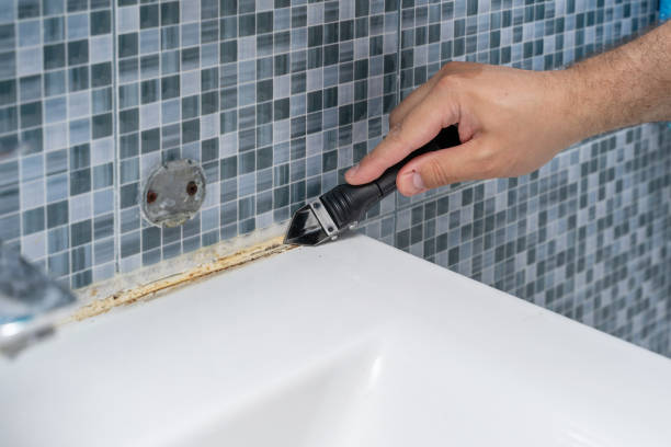 Best Mold Damage Repair  in Anthony, TX