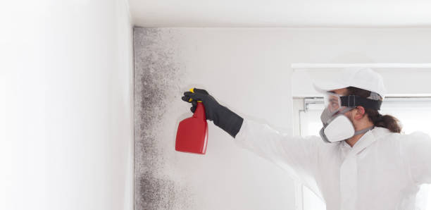 Best Crawl Space Mold Removal  in Anthony, TX