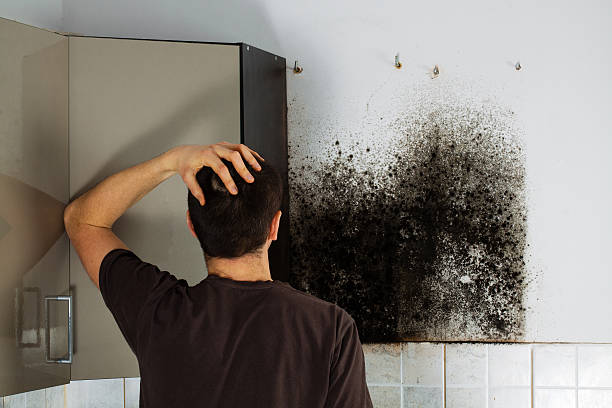 Best Home Mold Removal  in Anthony, TX